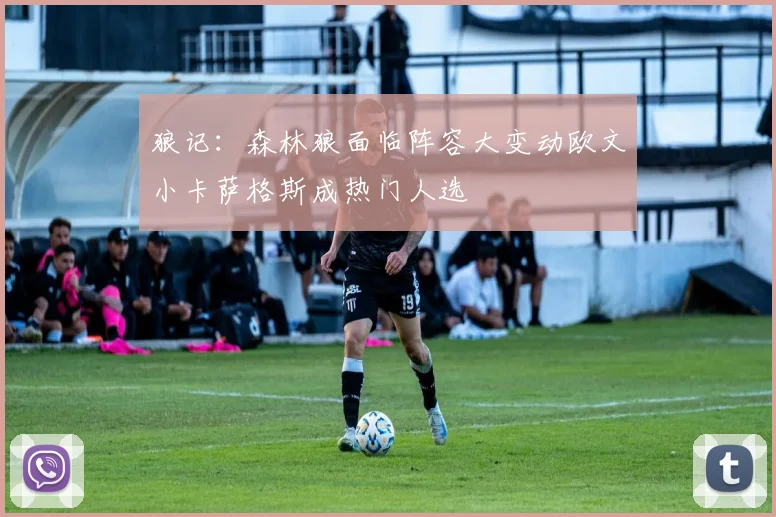 狼记：森林狼面临阵容大变动欧文小卡萨格斯成热门人选